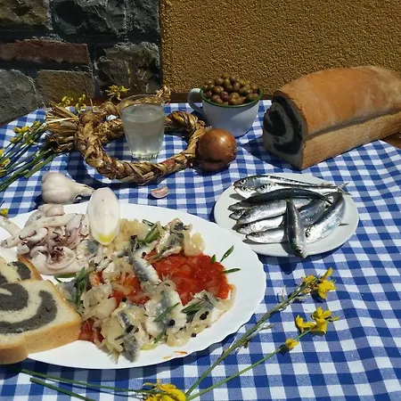 Apartma Brnistra